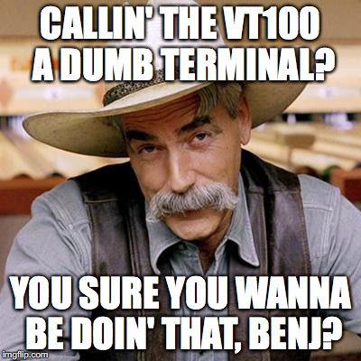 Callin' the VT100 a dumb terminal? You sure you wanna be doin' that, Benj?