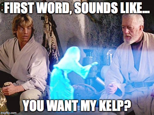 First word, sounds like... You want my kelp?