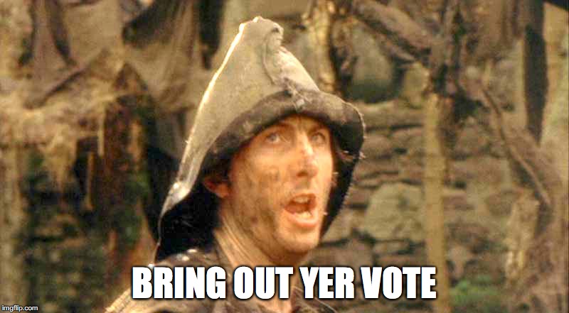 Bring out yer vote!