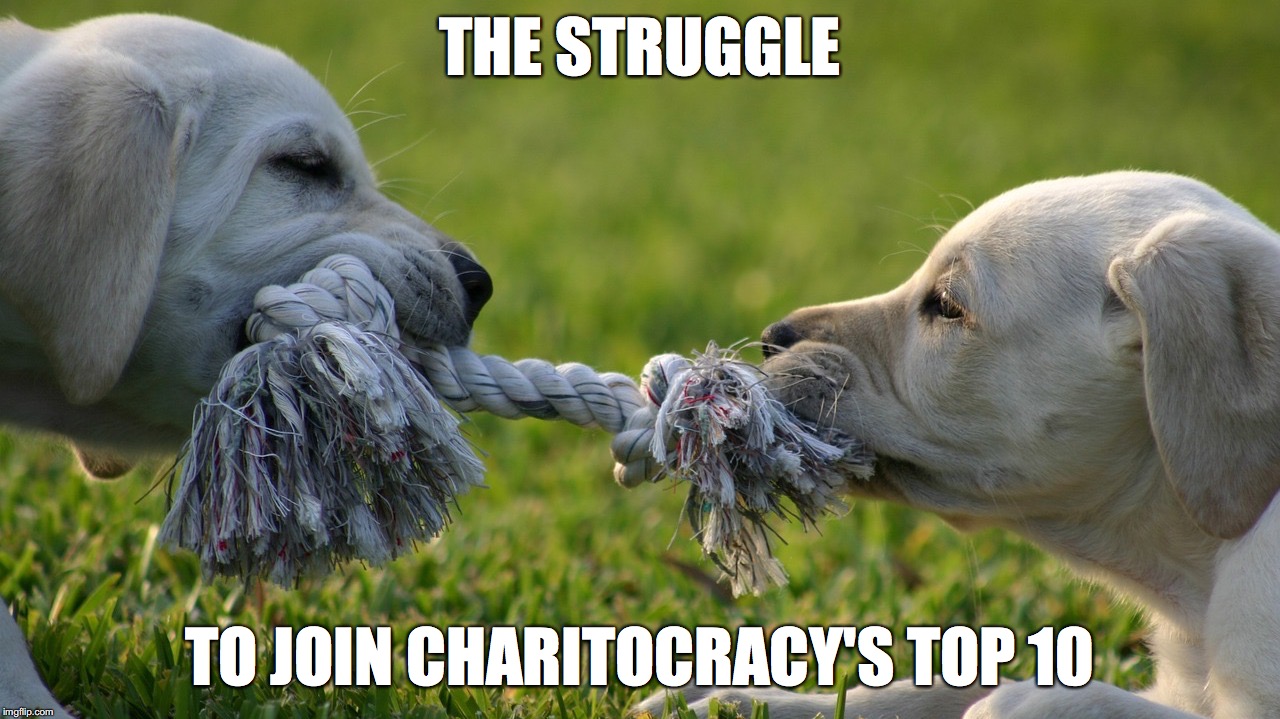 The struggle to join Charitocracy's Top 10