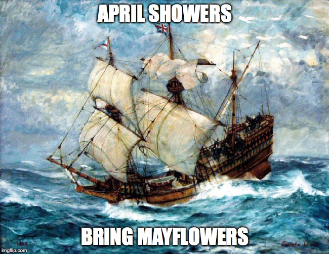 April Showers Bring Mayflowers