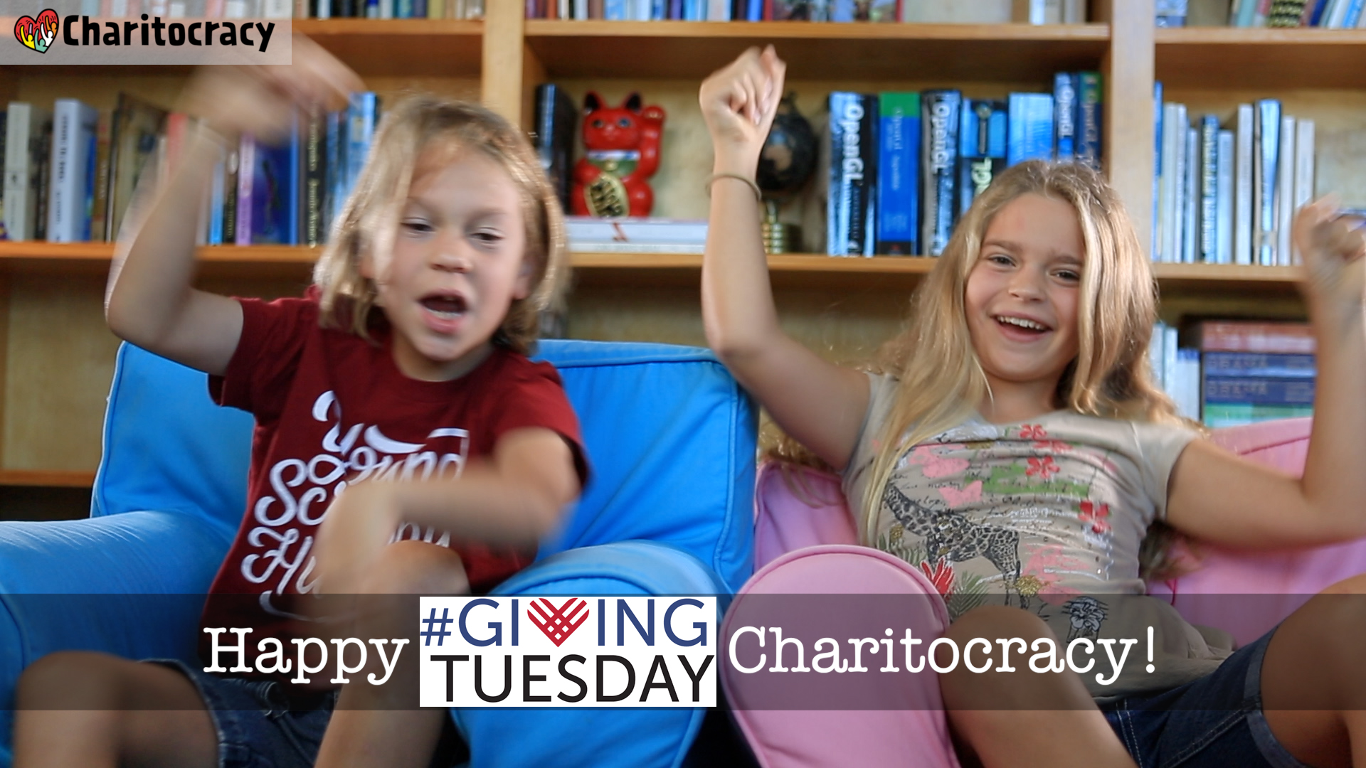 Happy Giving Tuesday, Charitocracy!