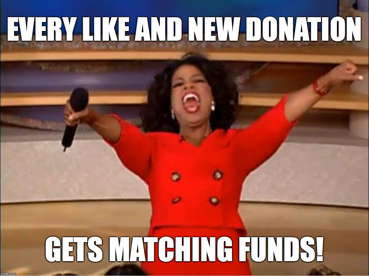 Every Like and new donation gets matching funds!