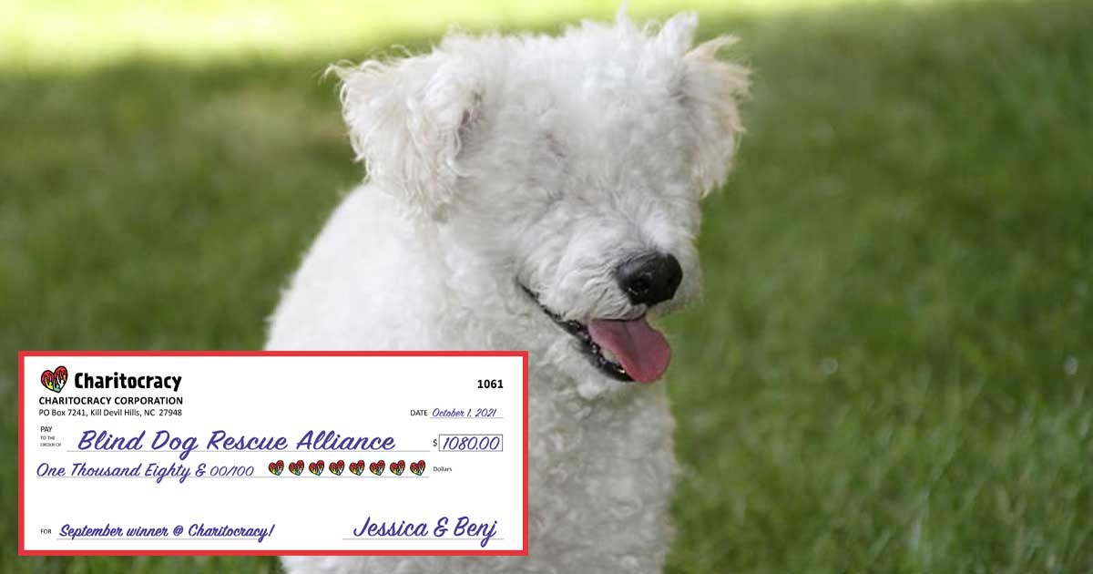Charitocracy's 61st check to September winner Blind Dog Rescue Alliance for $1080